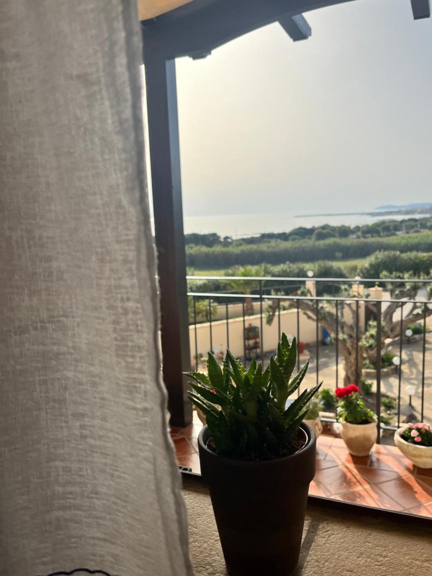 Domus Mare Luxury Apartment San Leone Ngoại thất bức ảnh